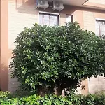 Nuova Luna