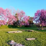 Nuova Luna Διαμέρισμα *